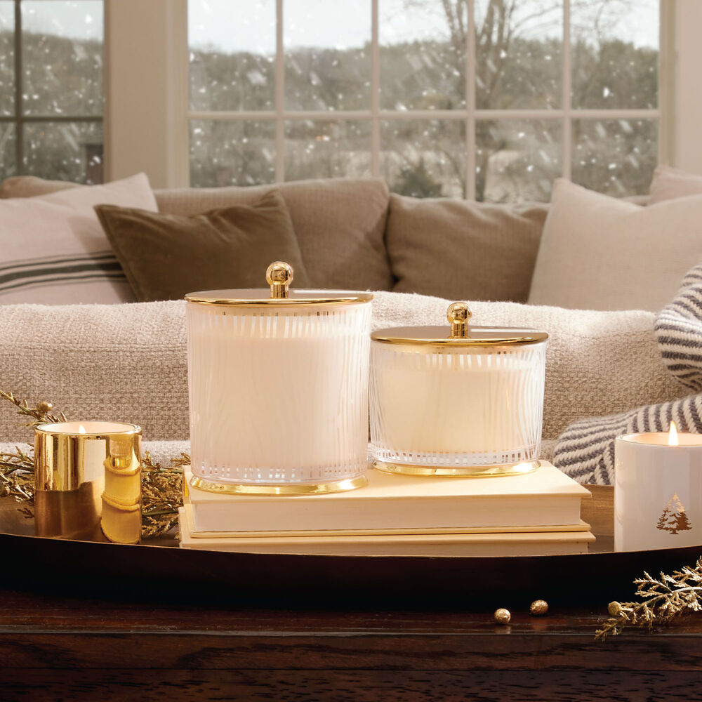 Thymes Frasier Fir Gilded Frosted Wood Grain Candle On Coffee Table image number 3